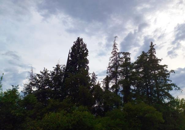 Durango; Existe una alta probabilidad de lluvias fuertes a muy fuertes