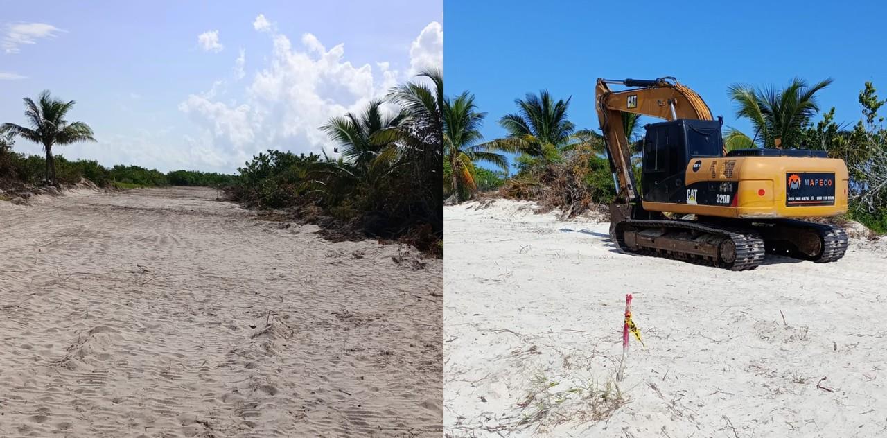 Los hechos ocurrieron el pasado 25 de agosto Foto: Cortesía Cinvestav Mérida