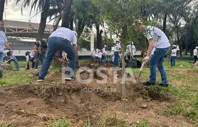 Heineken México reforesta Parque Niños Héroes