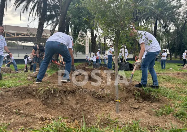 Heineken México reforesta Parque Niños Héroes