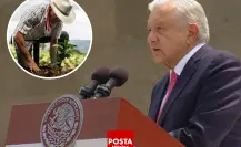 AMLO afirma que Sembrando Vida es el mayor programa de reforestación mundial