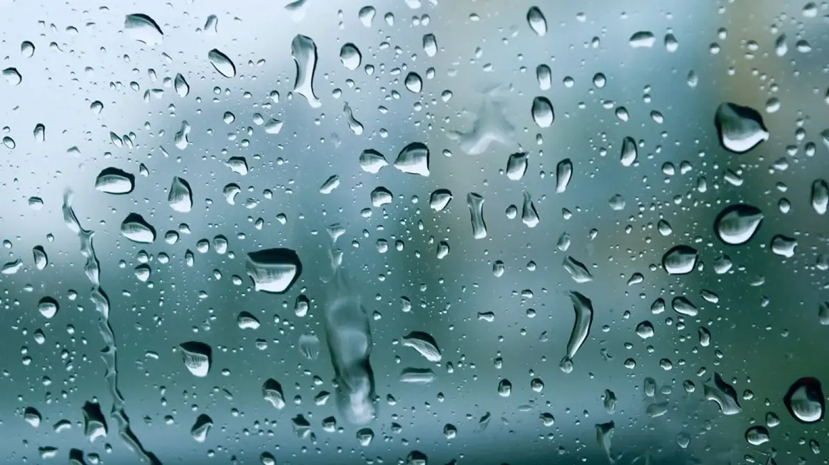 El alcalde destacó que varias vialidades en la ciudad están cerradas debido a las intensas lluvias. Foto: Especial.