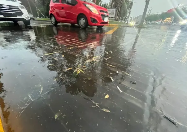 Lluvia registrada este martes, deja encharcamientos