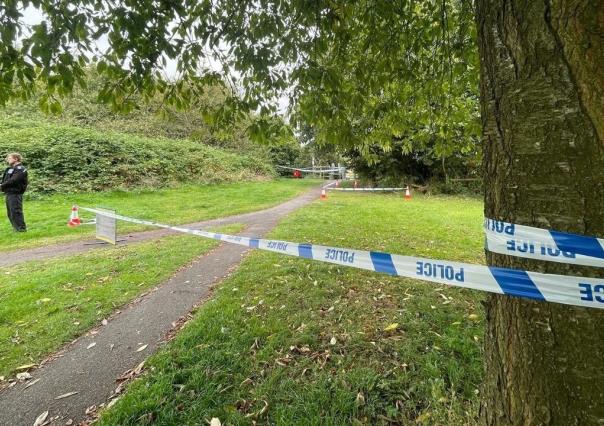 Detienen a 5 niños por asesinar a un adulto mayor en Inglaterra