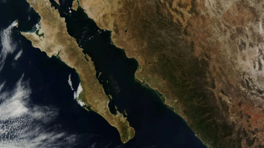 La Península de Baja California se separa 4 cm al año de México