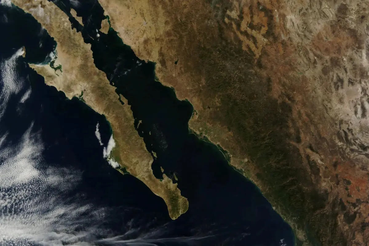 La Península de Baja California se separa 4 cm al año de México