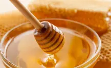 Siete razones para incorporar la miel de abeja en tu dieta