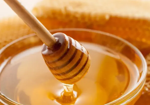 Siete razones para incorporar la miel de abeja en tu dieta