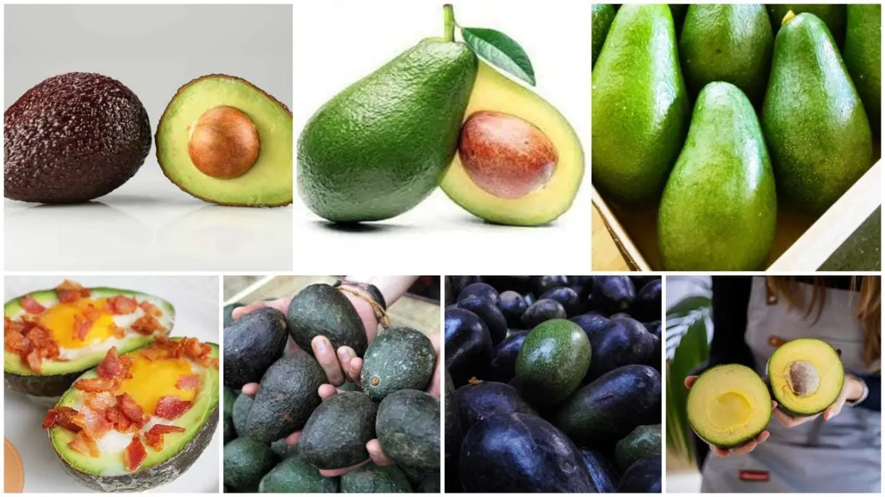 El aguacate es un producto orgullosamente mexicano que ha llegado a diferente territorio. Foto. Especial