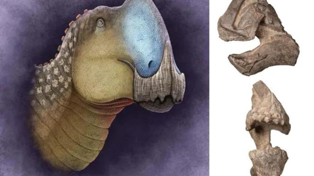 Conoce al Coahuilasaurus lipani: la nueva especie de dinosaurio de Coahuila