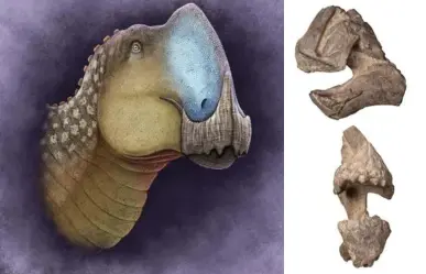 Conoce al Coahuilasaurus lipani: la nueva especie de dinosaurio de Coahuila