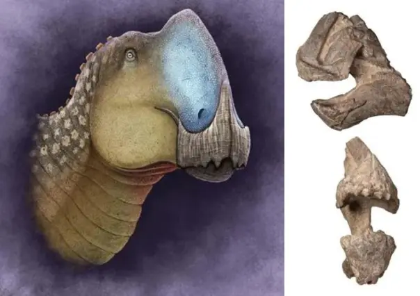 Conoce al Coahuilasaurus lipani: la nueva especie de dinosaurio de Coahuila