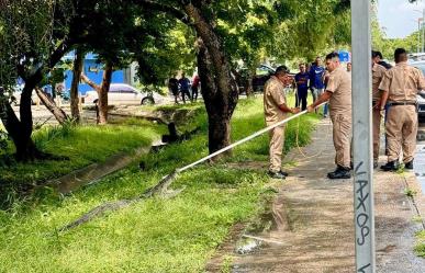 Sorprende captura de inmenso cocodrilo en la Laguna del Carpintero