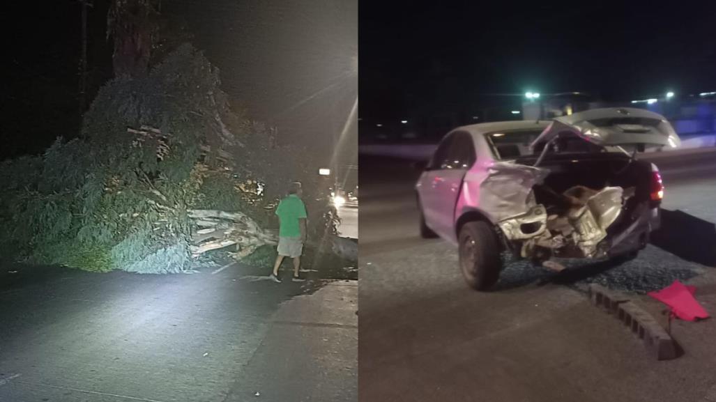 Derriban árbol en accidente automovilístico en el bulevar Colosio