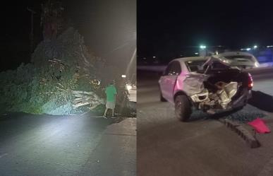 Derriban árbol en accidente automovilístico en el bulevar Colosio