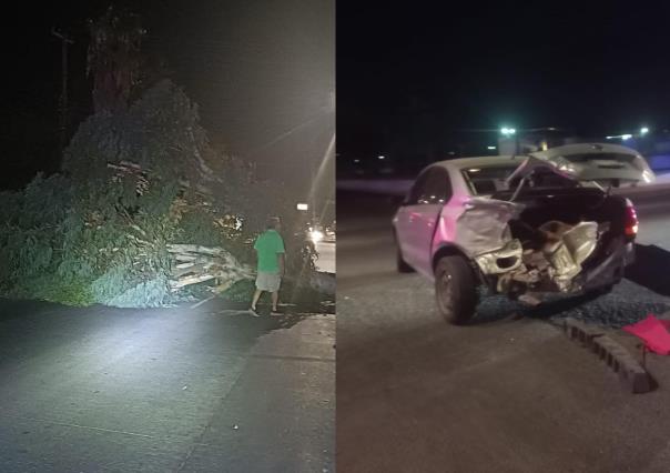 Derriban árbol en accidente automovilístico en el bulevar Colosio