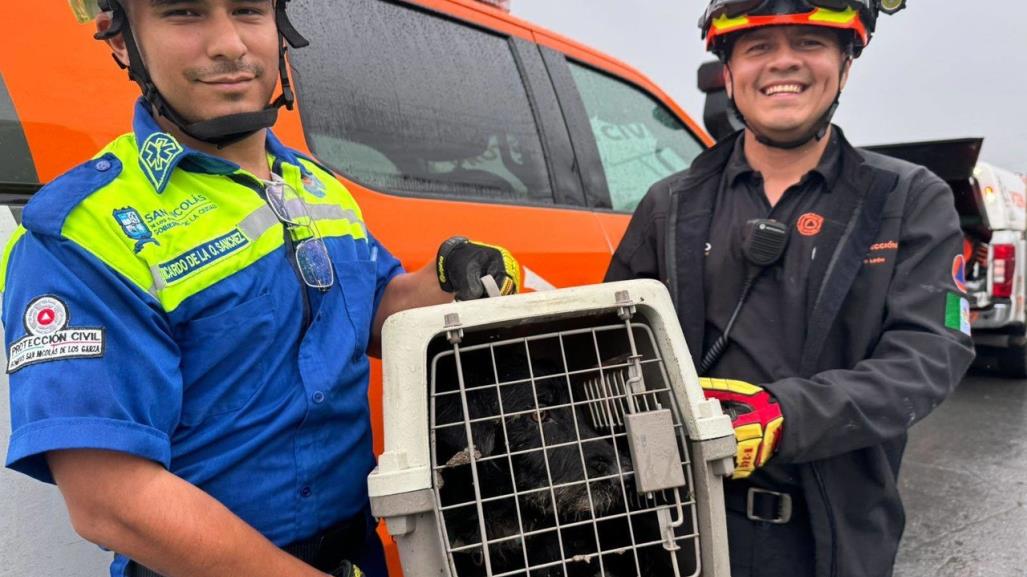 ¡Adoramos los finales felices!, rescatan a perrito de pozo en San Nicolás