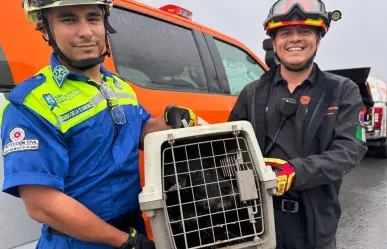 ¡Adoramos los finales felices!, rescatan a perrito de pozo en San Nicolás