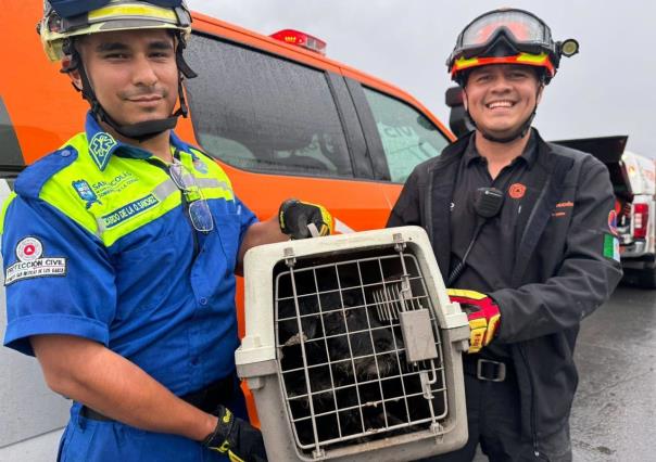 ¡Adoramos los finales felices!, rescatan a perrito de pozo en San Nicolás