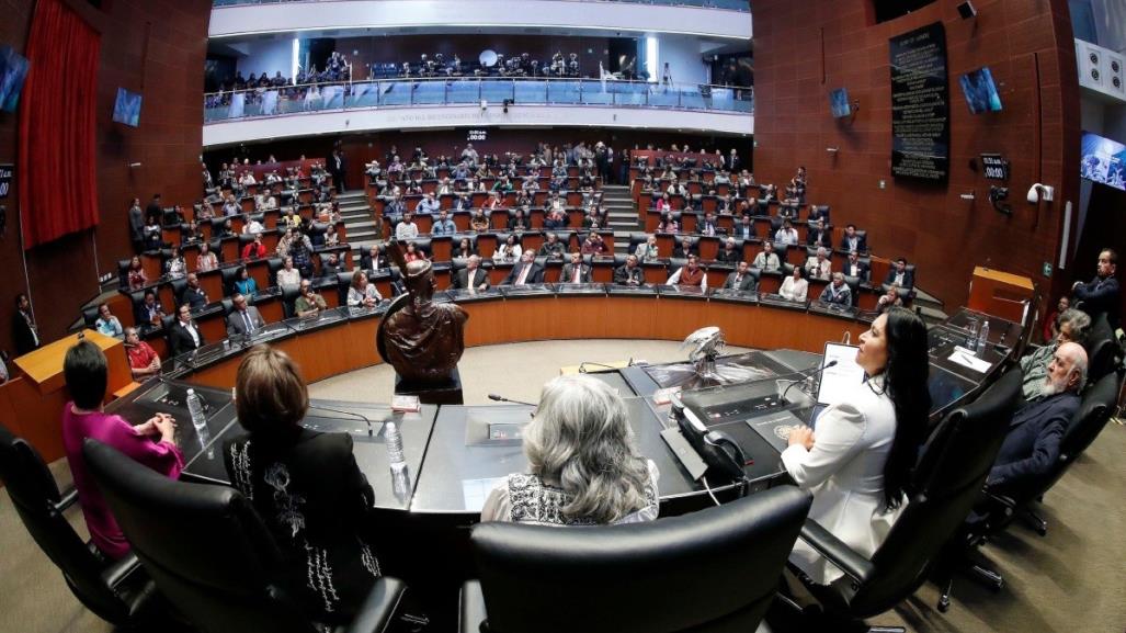 Conoce a los senadores que podrían aprobar la reforma judicial ¿Uno traicionará?