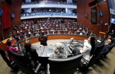 Conoce a los senadores que podrían aprobar la reforma judicial ¿Uno traicionará?