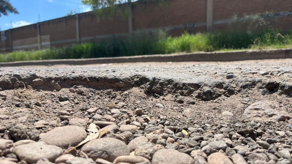 ¿Sabes cuántos baches se atienden al día?