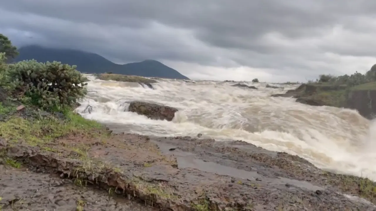 Foto: Captura de pantalla.