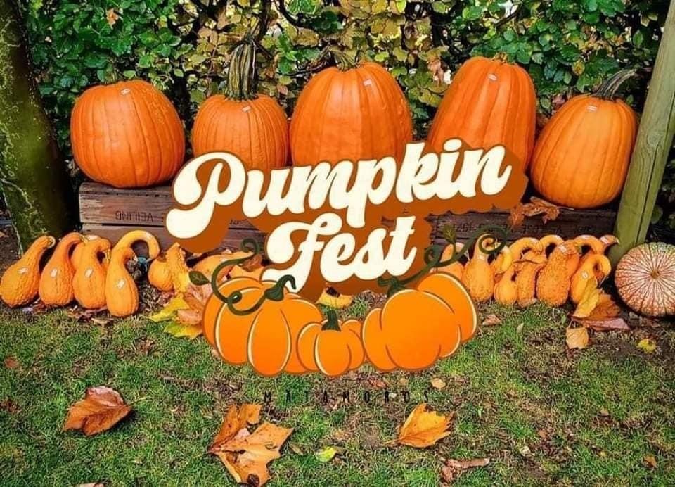 Este octubre, la ciudad de Matamoros se prepara para recibir el Pumpkin Fest, un evento ideal para quienes aman esta temporada del año. Foto: Redes sociales