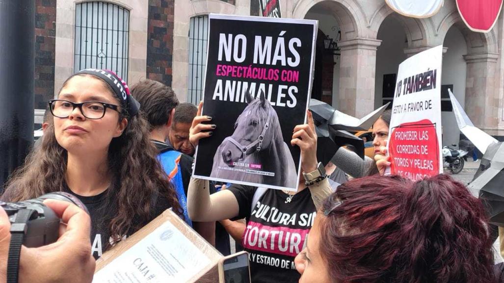 ¡Alto a la crueldad animal! Piden prohibir corridas de toros en Edomex