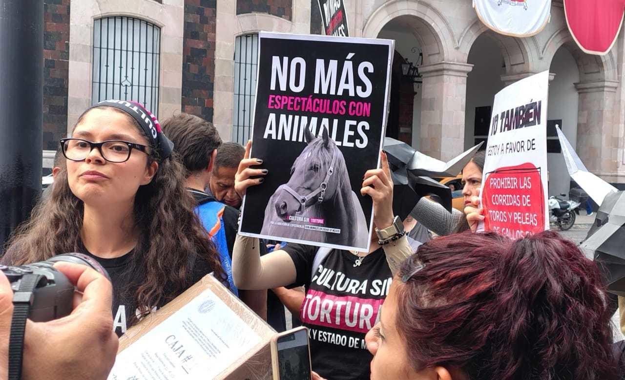 ¡Alto a la crueldad animal! Cultura sin Tortura pide prohibir corridas de toros en Edomex. Foto: POSTA