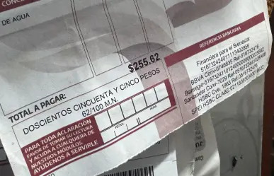 La Comapa Sur: La Calidad del Agua en Caída Libre y Aumento en las Tarifas