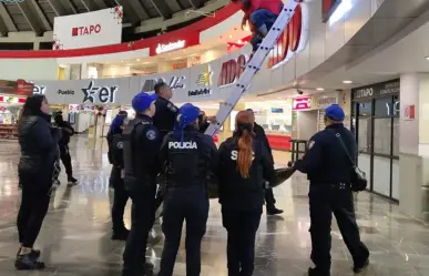 Joven intenta quitarse la vida en terminal de la CDMX