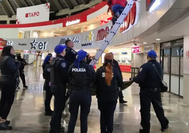 Joven intenta quitarse la vida en terminal de la CDMX