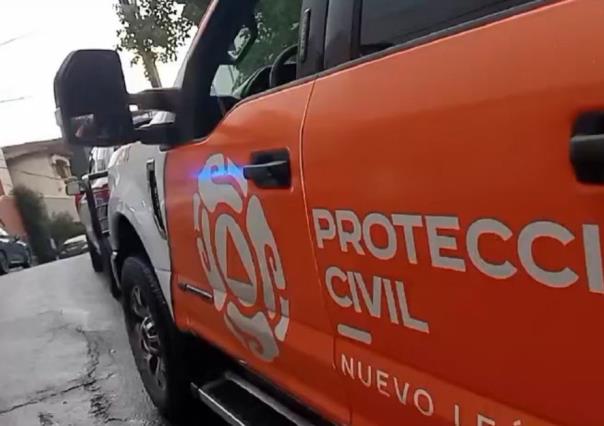 Mono araña moviliza a elementos de Protección Civil en San Pedro