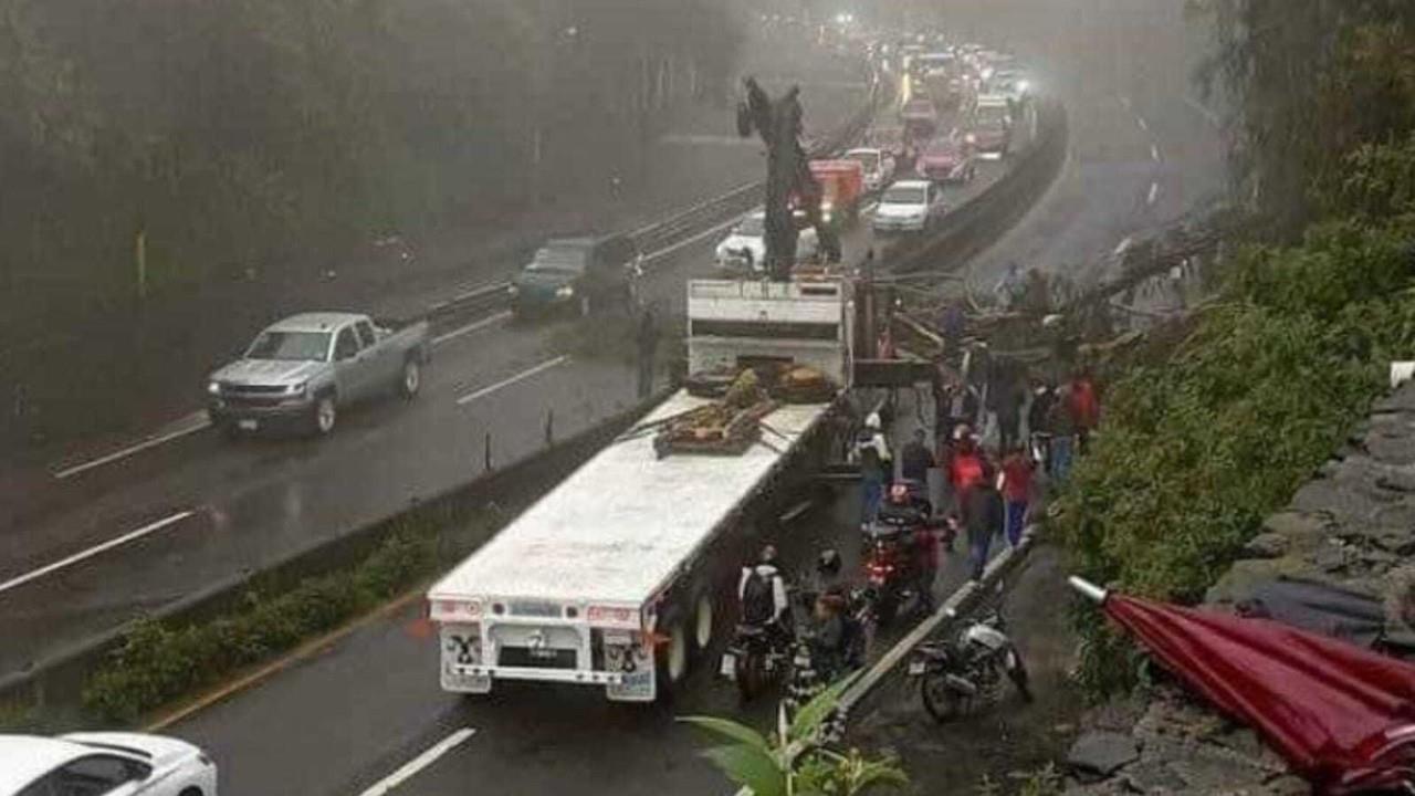 México-Toluca: Caída de árbol y desgajamiento de cerro causan tráfico intenso. Foto: RRSS