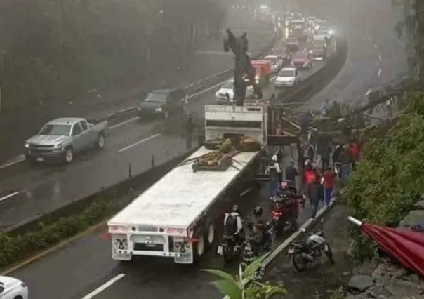 México-Toluca: Caída de árbol y desgajamiento de cerro causan tráfico intenso