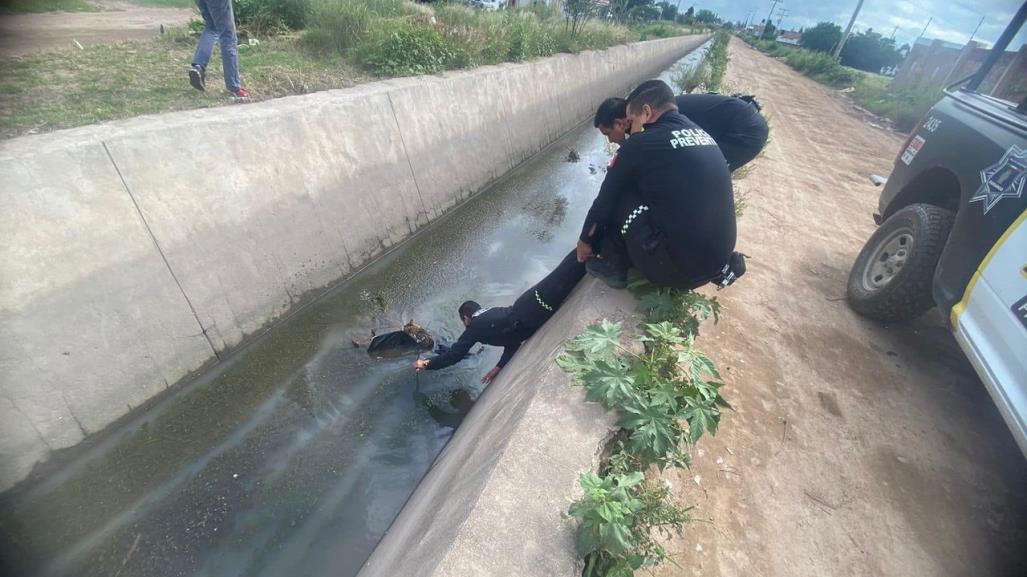 Policías Municipales rescatan a un gatito de ahogarse