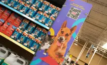 Gobierno de Monterrey y HEB promueven adopción responsable de mascotas
