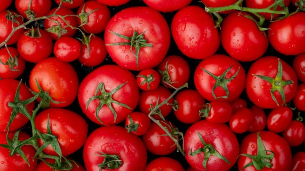 ¿Tomate o jitomate? ¿Cuál es la diferencia?