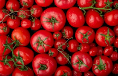 ¿Tomate o jitomate? ¿Cuál es la diferencia?