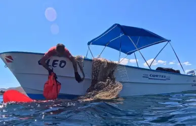 Red abandonada causa la muerte de lobo marino y tortuga.