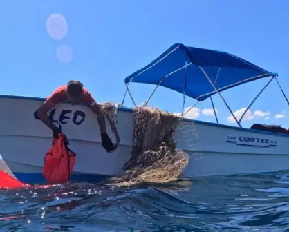 Red abandonada causa la muerte de lobo marino y tortuga.