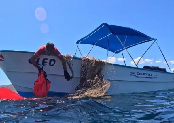 Red abandonada causa la muerte de lobo marino y tortuga.