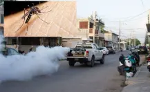 Seguirá el operativo de fumigación contra el mosco transmisor del dengue
