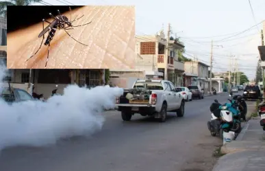Seguirá el operativo de fumigación contra el mosco transmisor del dengue