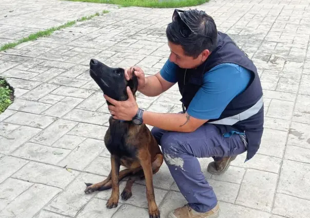 Rescatan a perrito en Villaldama que fue mordido por hombre