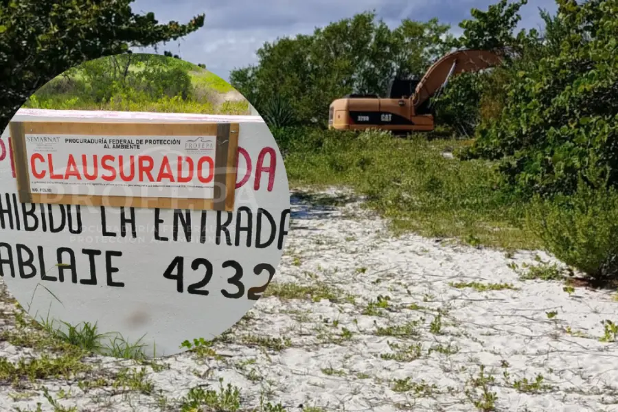 Profepa clausura un camino en la duna costera de Dzilam de Bravo