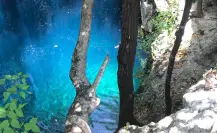 Guía de cenotes cercanos a Mérida: Ideal para aprovechar el puente patrio
