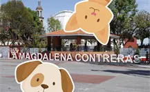 La Magdalena Contreras estrenará el primer parque dedicado a mascotas