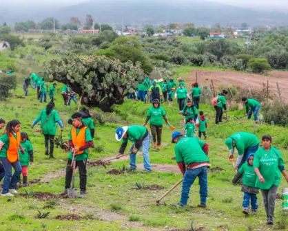 Iberdrola México planta 8 mil árboles en estos estados de la República